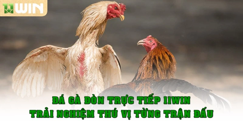 da ga don truc tiep thumb