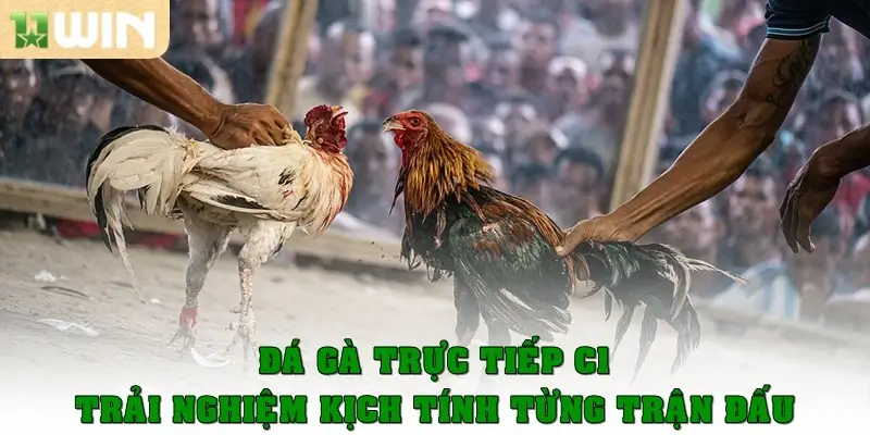 da ga truc tiep c1 thumb