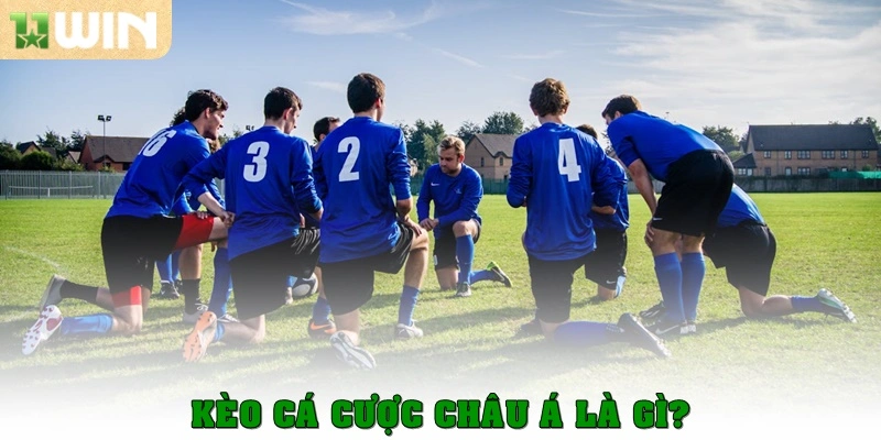 Kèo cá cược châu Á – Bí quyết đọc kèo và đặt cược chuẩn xác 2 Kèo cá cược châu Á là gì?