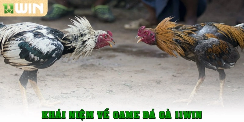 Khái niệm về game đá gà 11win